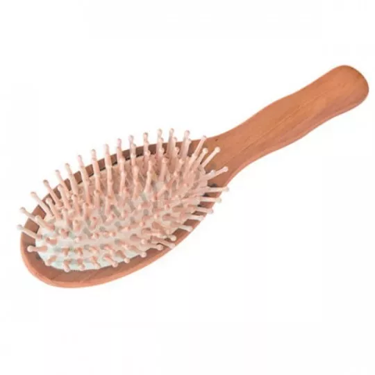 Hairbrush with wooden bristles