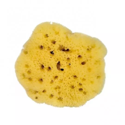 [I904] Silk-touched sea sponge - eye contour - 7 cm